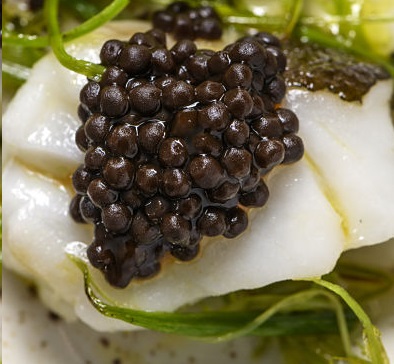 Perlas de Ajo Negro Bio 100 gr. Cataliment