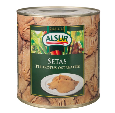 Setas Alsur Cultivo 3 kg.