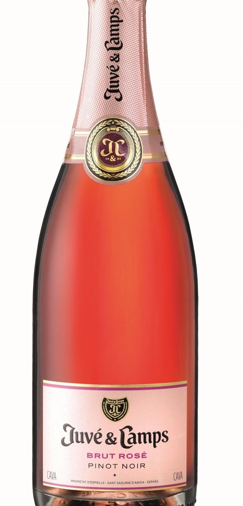 Juvé & Camps Brut Rosé-75 cl.-Cava Penedes