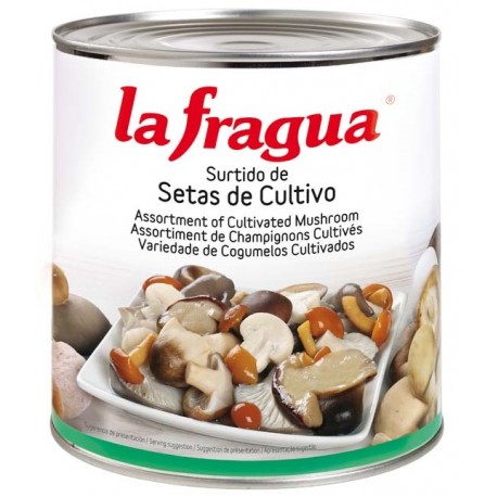 Setas Cultivo Iª  Nacional 3 kg. La Fragua