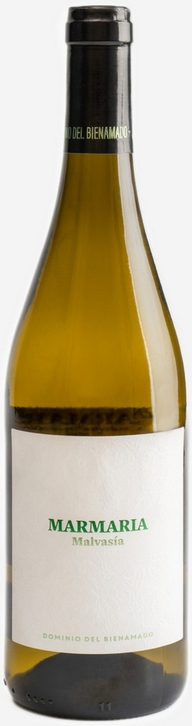 Marmaria Blanco Malvasia 2023-Dominio Bienamado-D.O. Toro-75 cl. 4 m. en Lias 14.5º