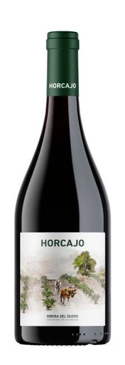 Ribera, Tinto Horcajo Bodegas Cepa 21 Crianza 75 cl.