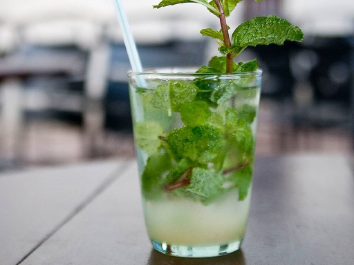 Concentrado de Mojito 3 L. Ñ